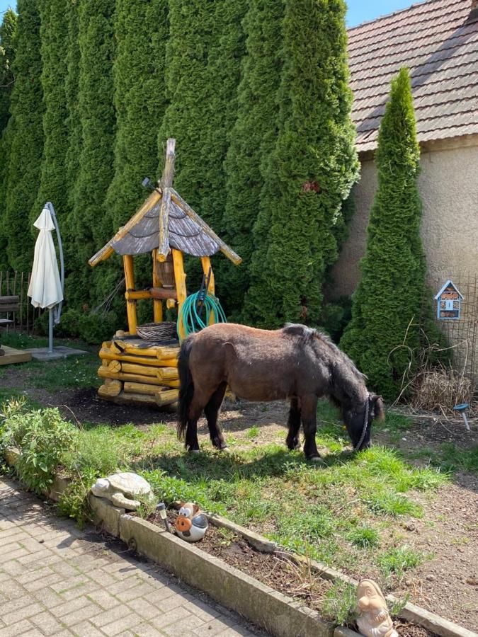 Ferienhaus Karin Schonabrunn Kültér fotó