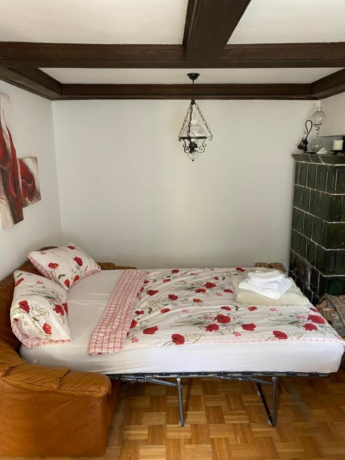 Ferienhaus Karin Schonabrunn Kültér fotó